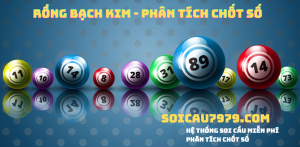 Rồng Bạch Kim