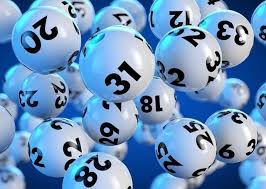 nuôi bạch thủ lô khung 3 ngày