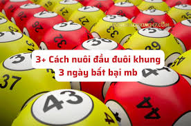 Nuôi đầu đuôi khung 3 ngày