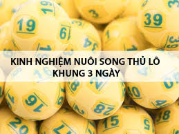 nuôi song thủ lô khung 3 ngày