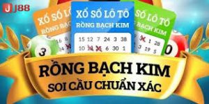 soi cầu rồng bạch kim