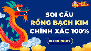 soi cầu rồng bạch kim