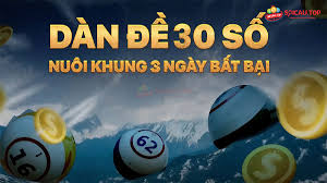 Nuôi dàn đề 30 khung 3 ngày